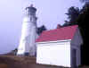 heceta_head_lighthouse.jpg (49711 bytes)