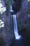 toketee_falls.jpg (39358 bytes)